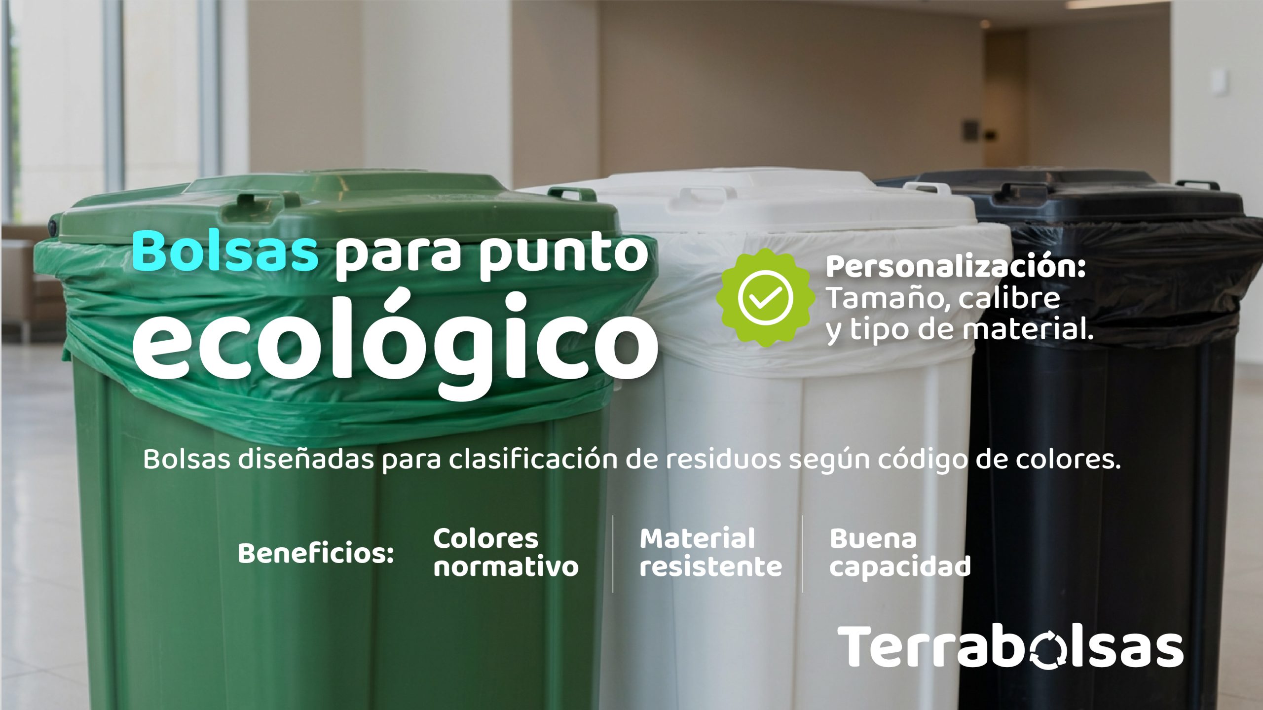 Mesa de trabajo 1 copia 6